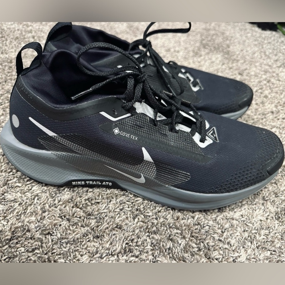 Nike Men's Black and Gray Pegasus Gore-Tex